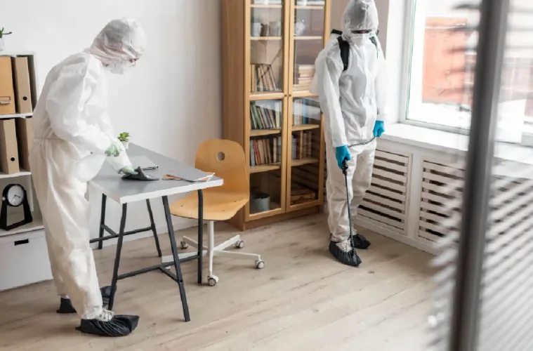 Overlooked Role of Access Point Seals in Allergy and Mold Prevention