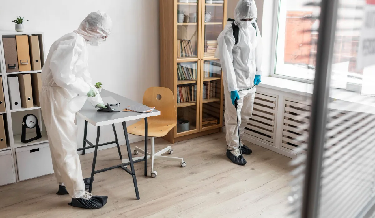 Overlooked Role of Access Point Seals in Allergy and Mold Prevention