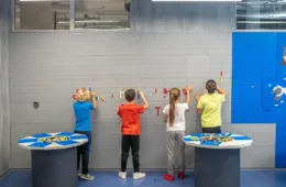 A Guide to Indoor Playgrounds for Museums