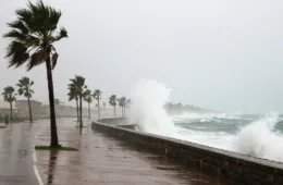 Before the Storm_ Essential Hurricane Preparedness Tips to Minimize Property Damage