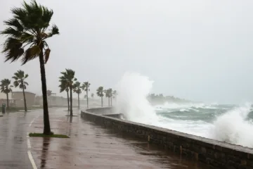 Before the Storm_ Essential Hurricane Preparedness Tips to Minimize Property Damage