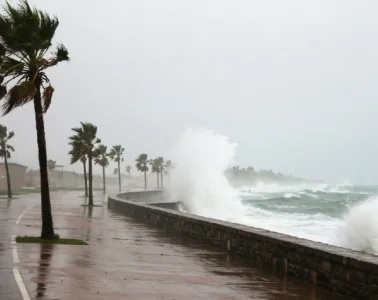 Before the Storm_ Essential Hurricane Preparedness Tips to Minimize Property Damage